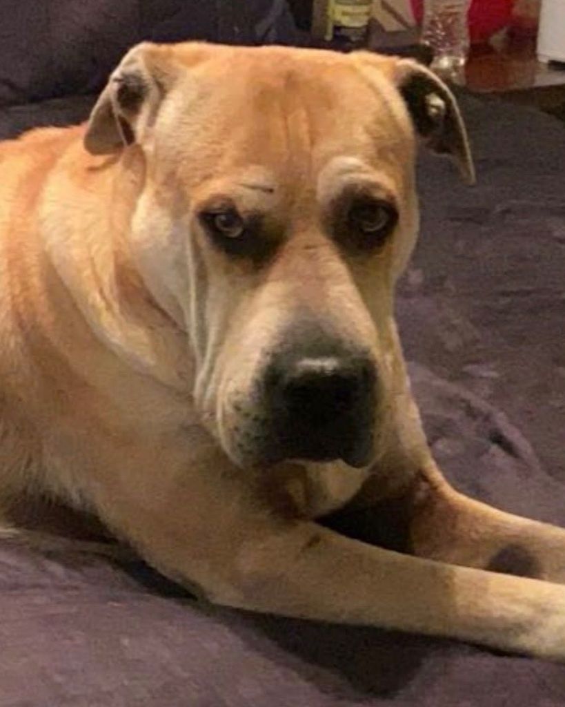 Tank Chamberlin Profile Photo