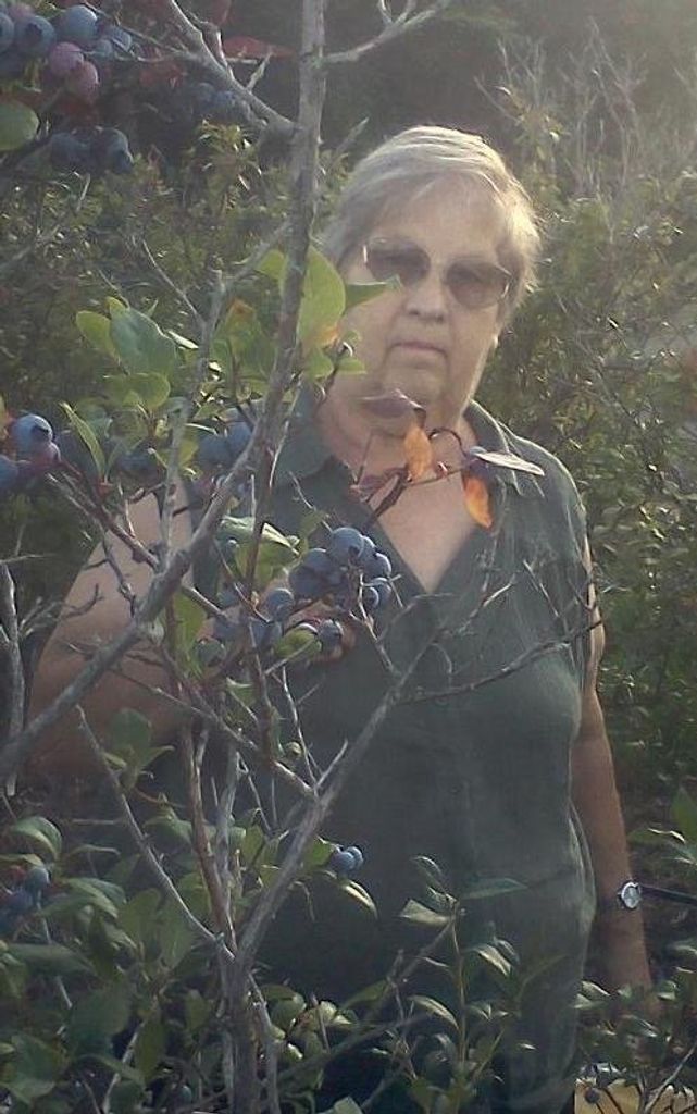 Jean A. FANTON