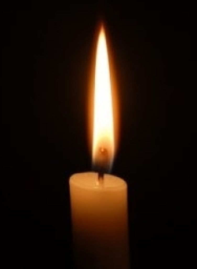Evelyn Bottone Profile Photo