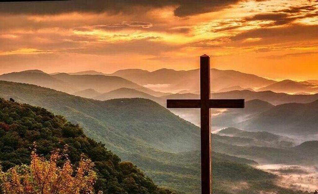 John Mark Reagan Profile Photo