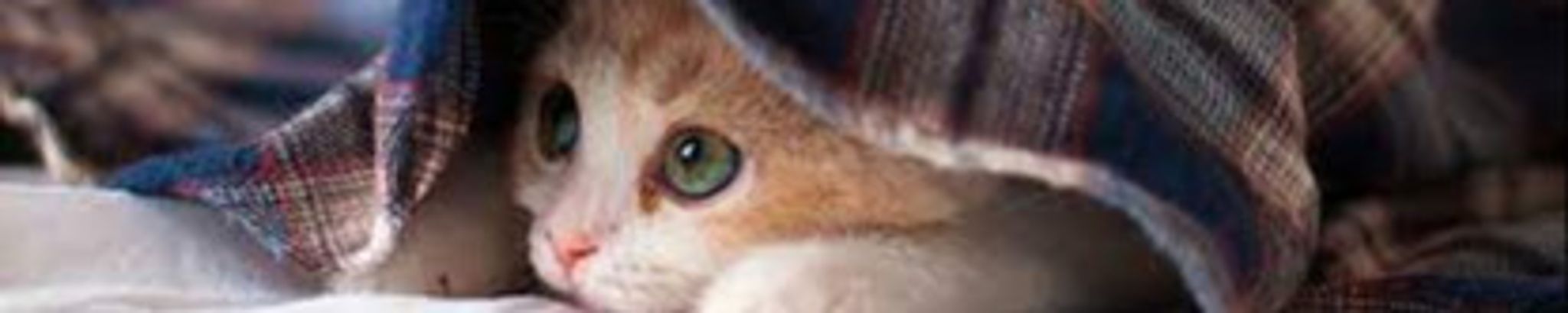 Cover photo for Pauline Middleton's Obituary