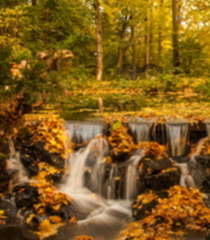 George Solakian Profile Photo