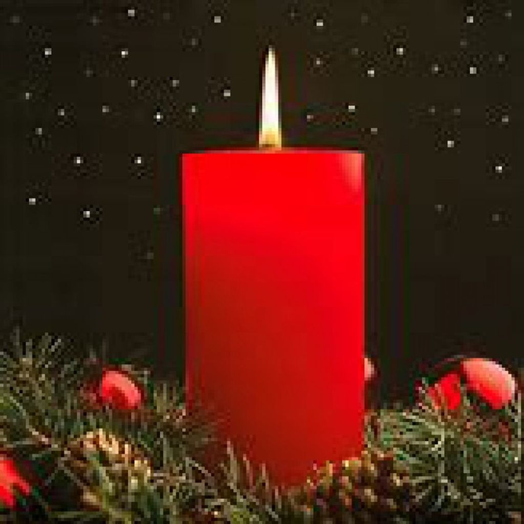 Carrol O. States Profile Photo