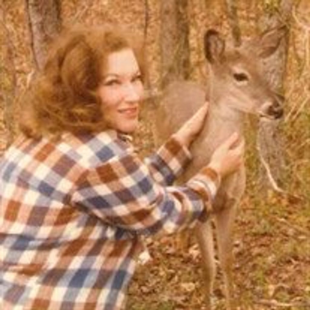 Linda Schlenker