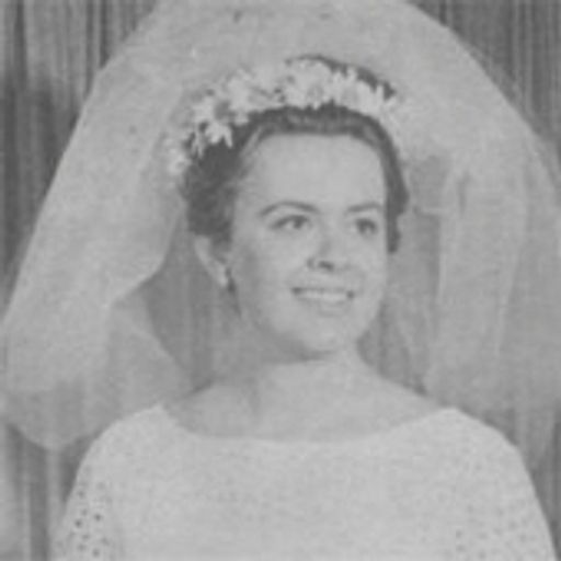 Nancy Wendt photo gallery thumbnail 1 of 1