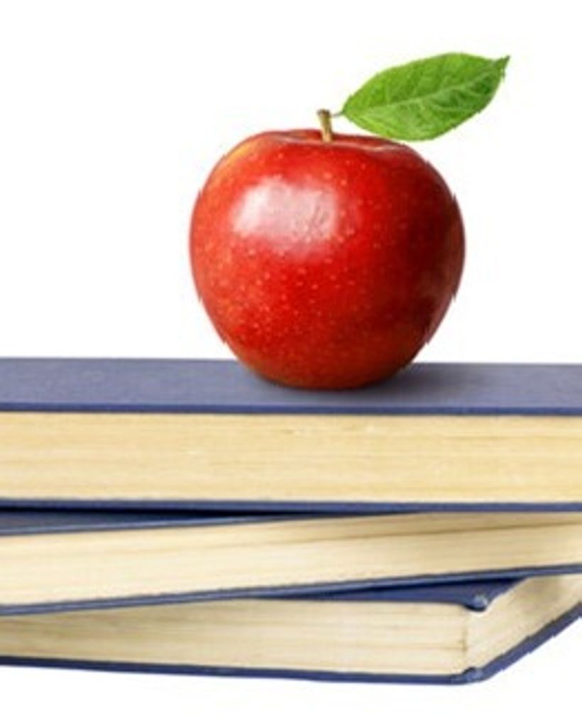 Sarah M Starkey Profile Photo