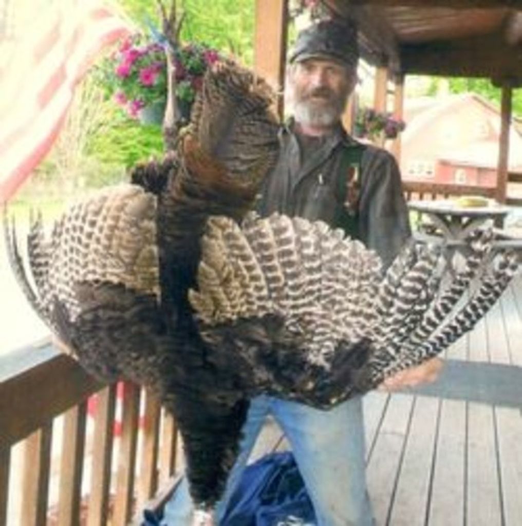 Wallace A. "Wally" Stimson