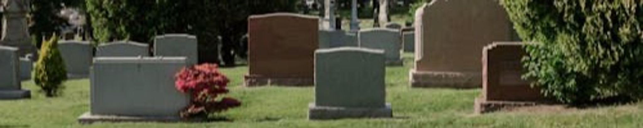 Cover for Charles I. LANANGER Jr.'s Obituary