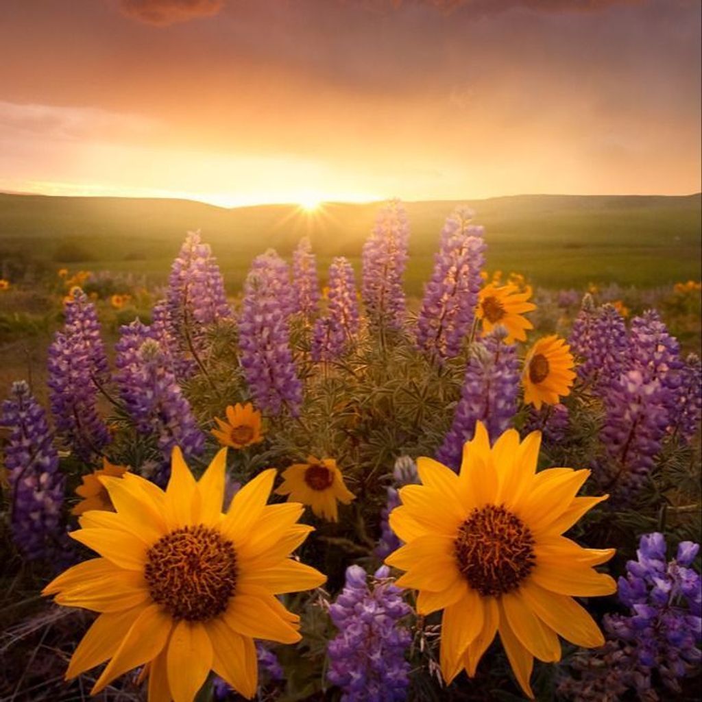 Susan D. Barbin Profile Photo