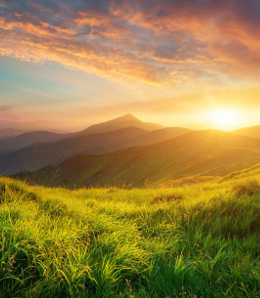 John Smick Profile Photo