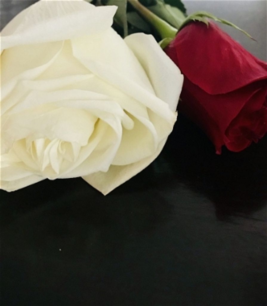 Samuel K Lykens Profile Photo