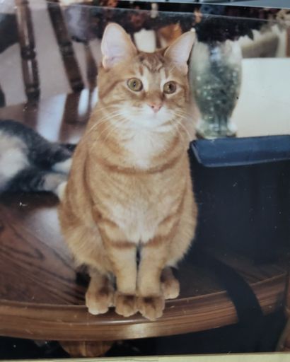 Jonesy James Brickey's obituary image