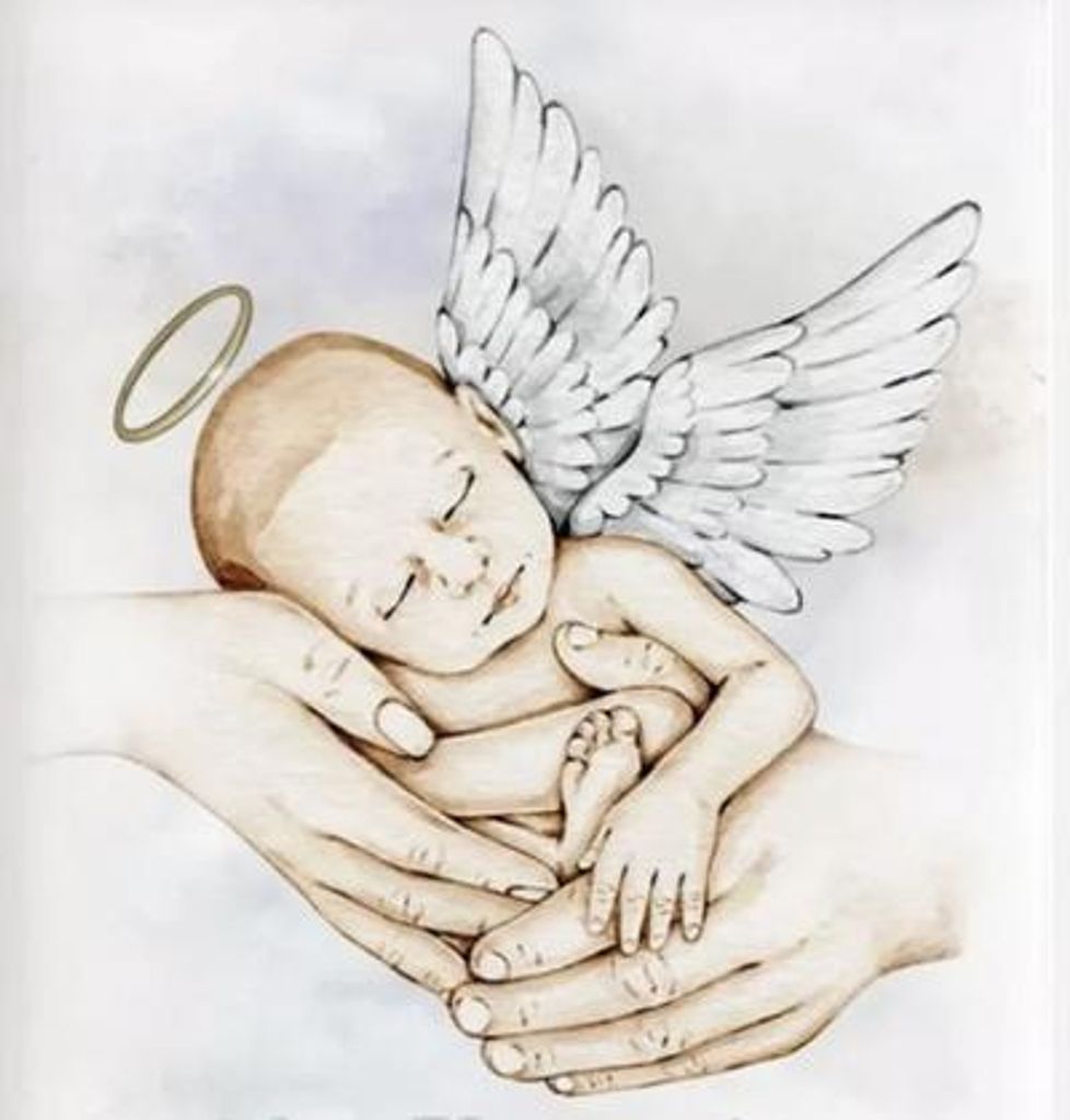 Bodhi Krue Scott Profile Photo