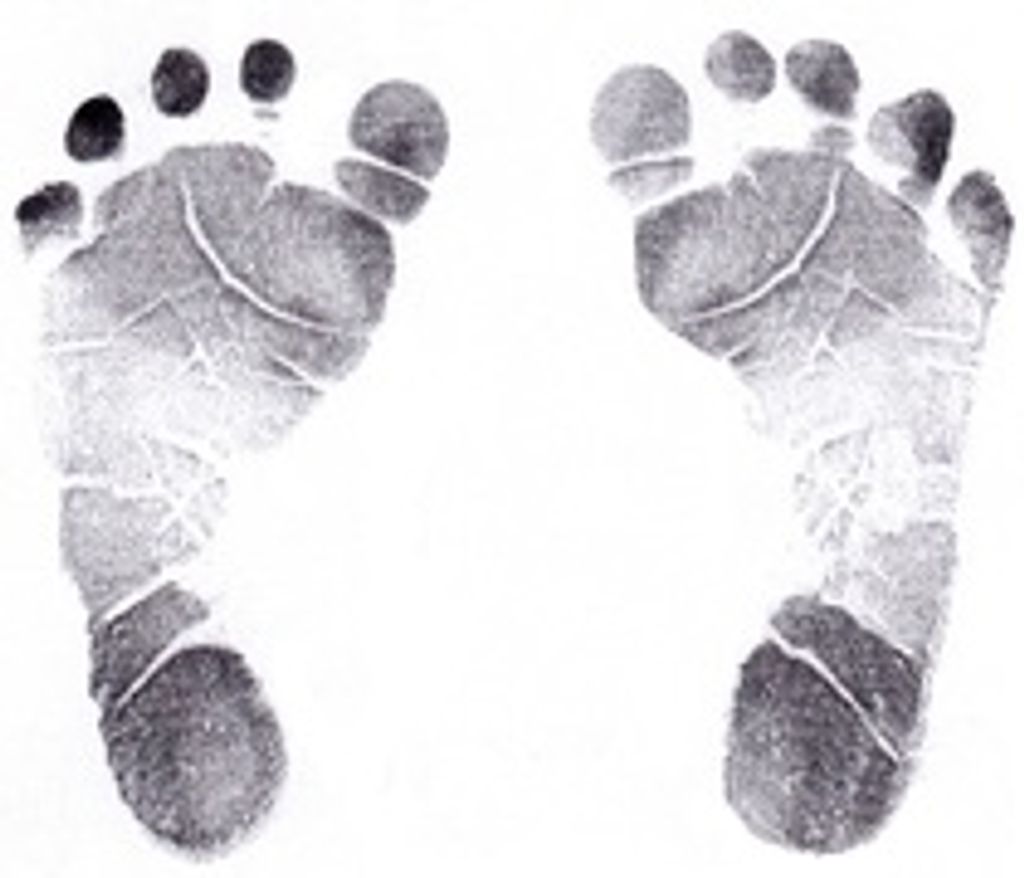Hayden Grace Rohrer