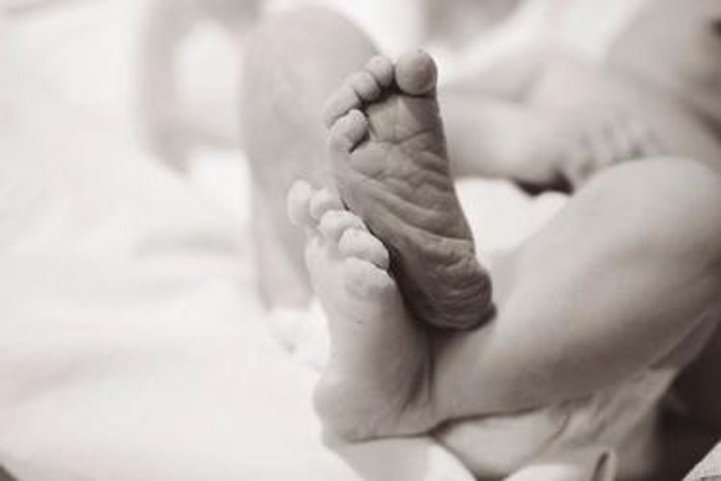 Harper Alice Brownell