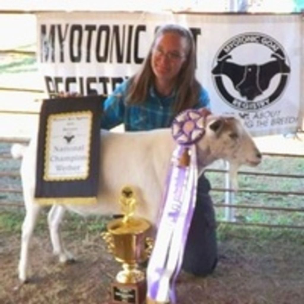 Zona 'Z' Gail Johnson Profile Photo