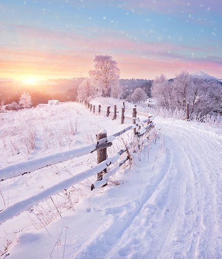 Marlys Wilts's obituary image