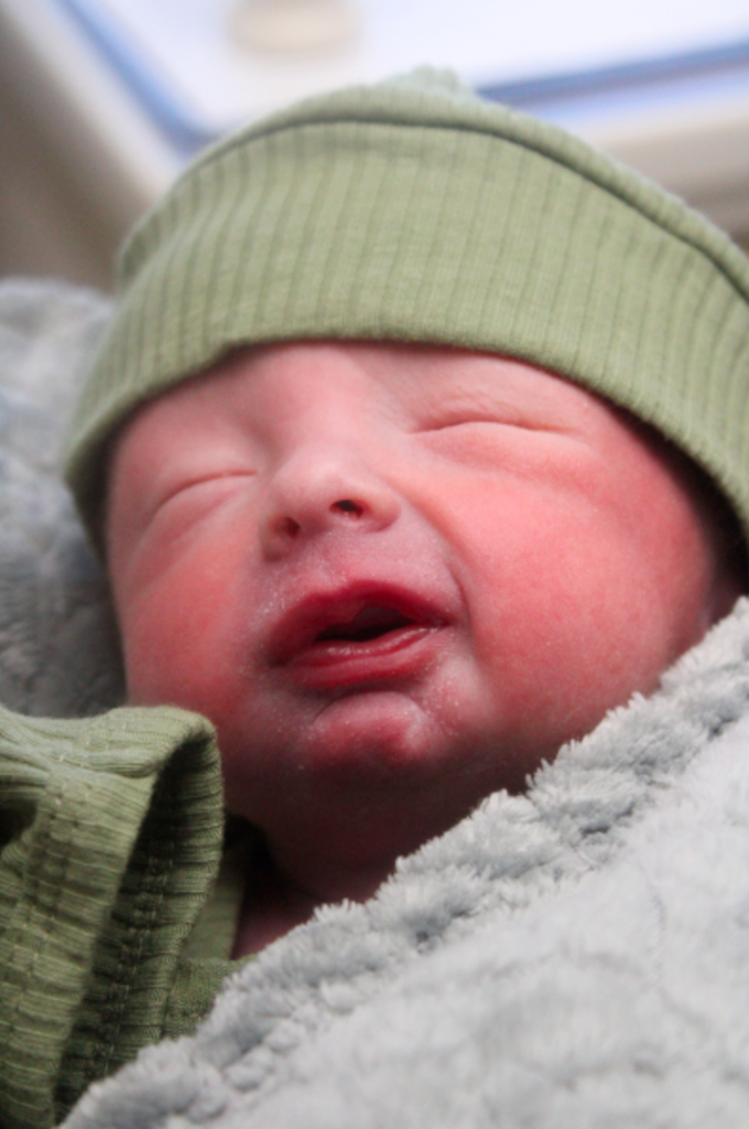 Alyc Waylynn Lakzadeh