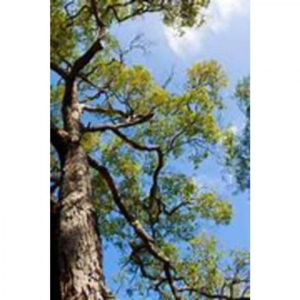 Barry Leroy Clayton Profile Photo