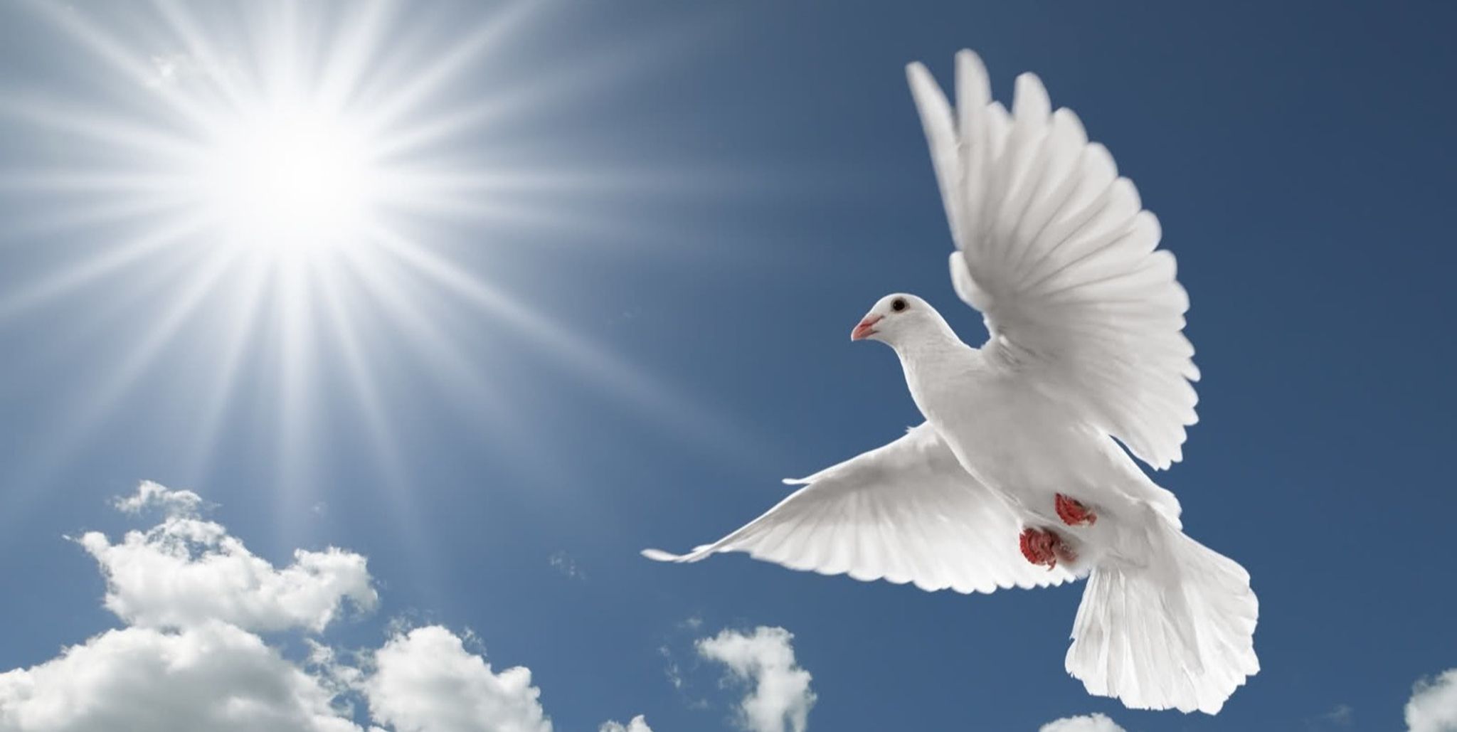 Cover photo for Bertha Lee Starling's Obituary