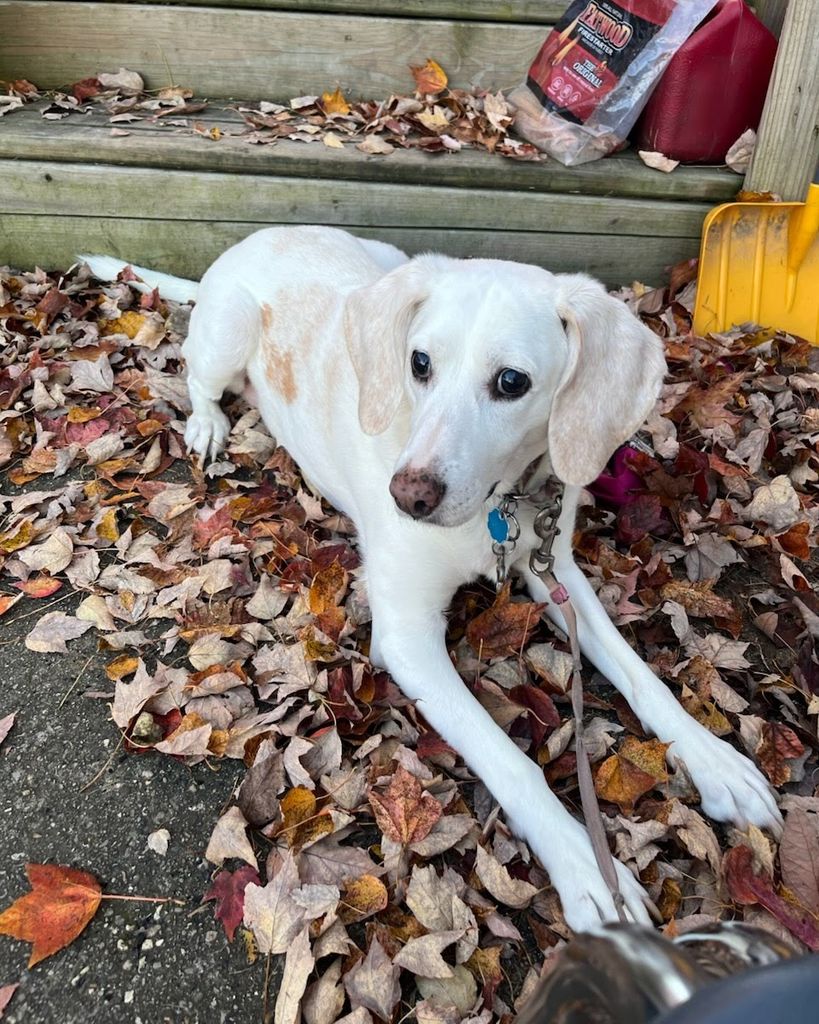 Lila Osborn Profile Photo