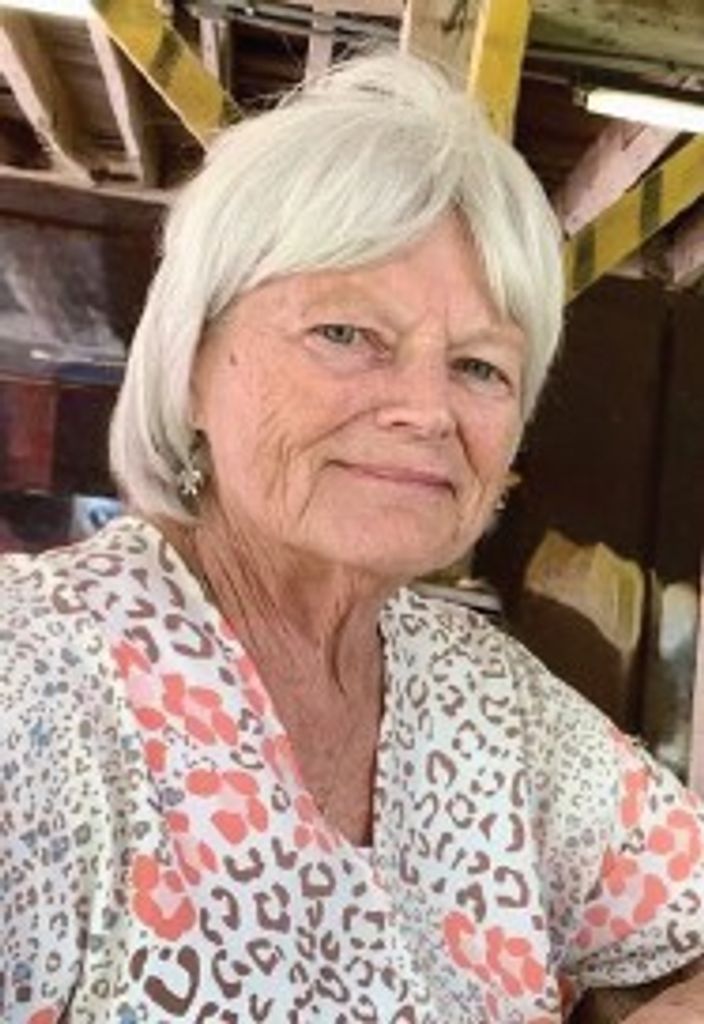 Donna M. Sheesley Mcelwain Profile Photo