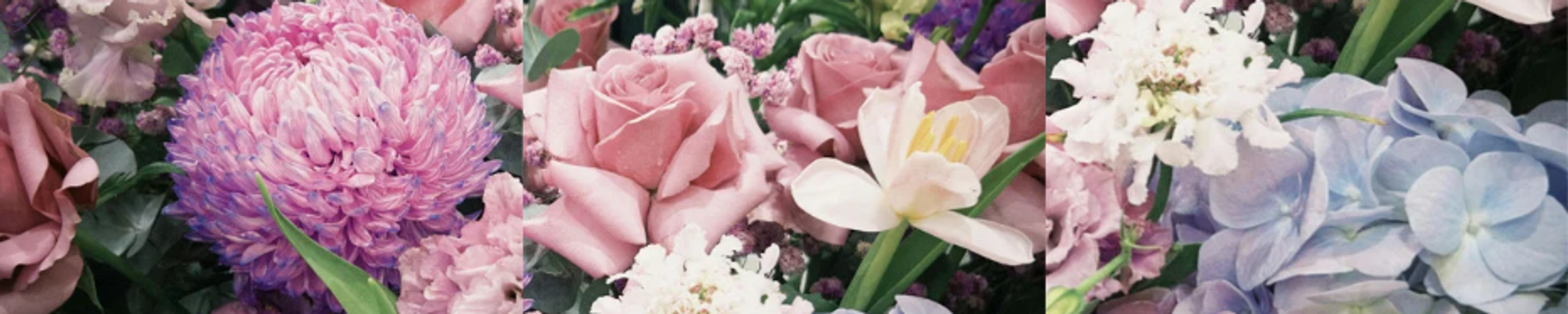 Cover for Joan Dolman's Obituary