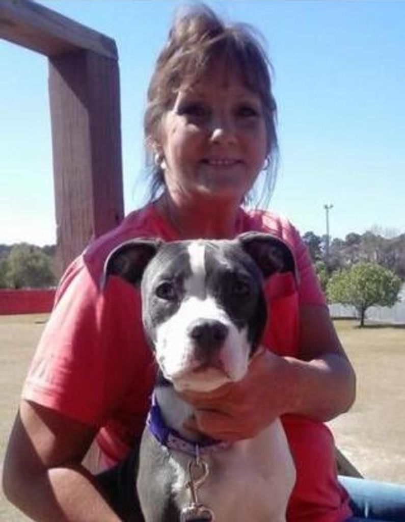Lisa (Simmons)  Bolanos Profile Photo