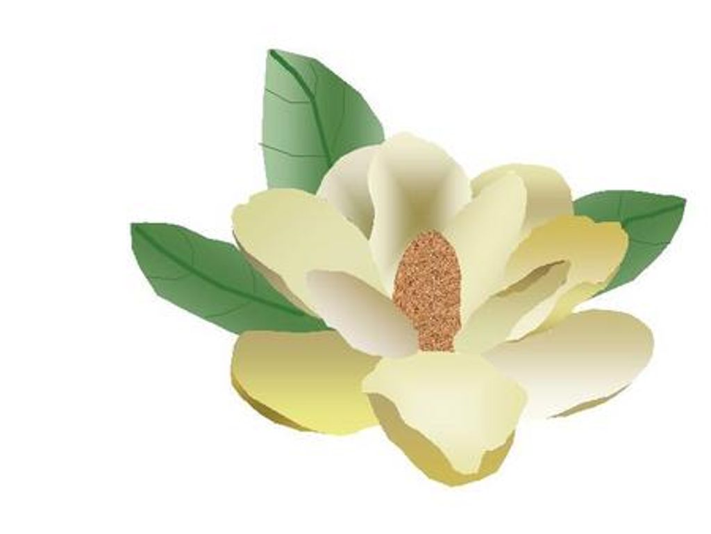 Dorothy Virginia Ard