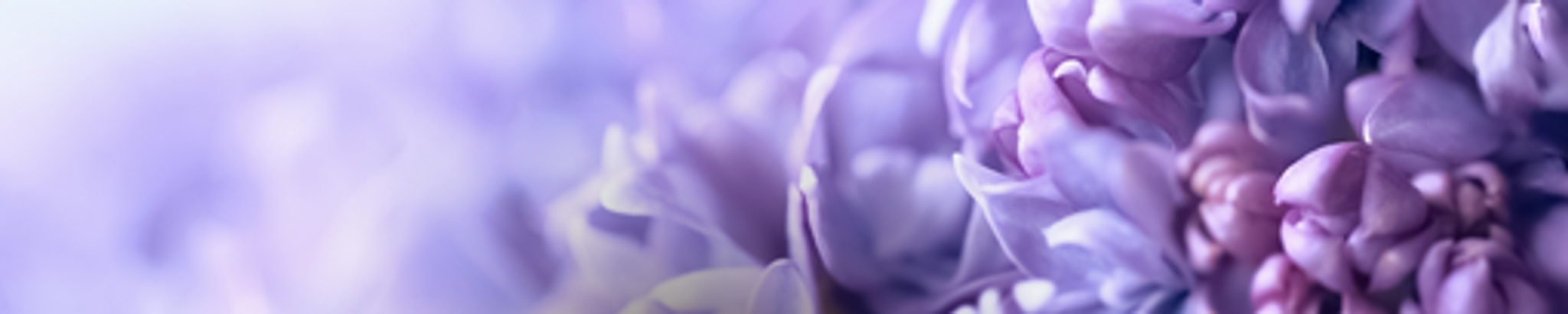 Cover photo for Angela Serblowski Kunz's Obituary
