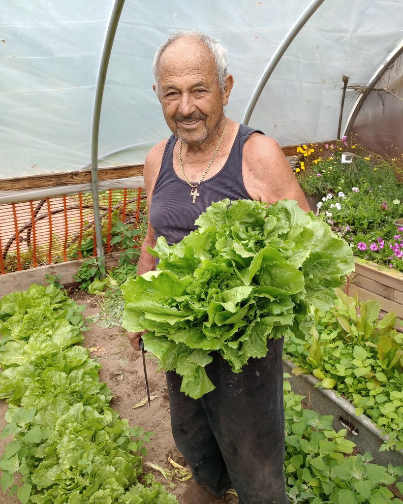 Salvatore "Sal" Paonessa