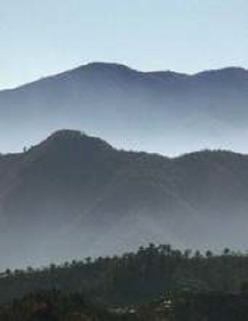 Thomas "Mike" Michael Hoffman