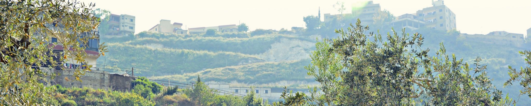 Cover for Nabil Denyel's Obituary