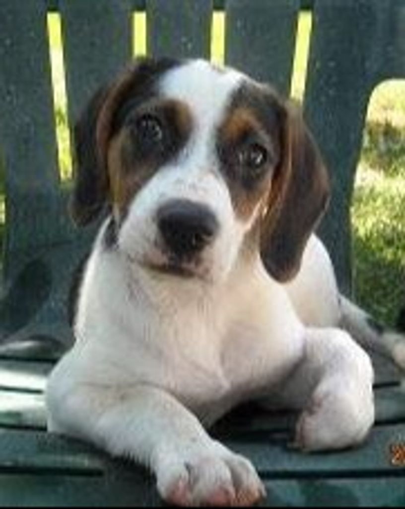 Laci Profile Photo