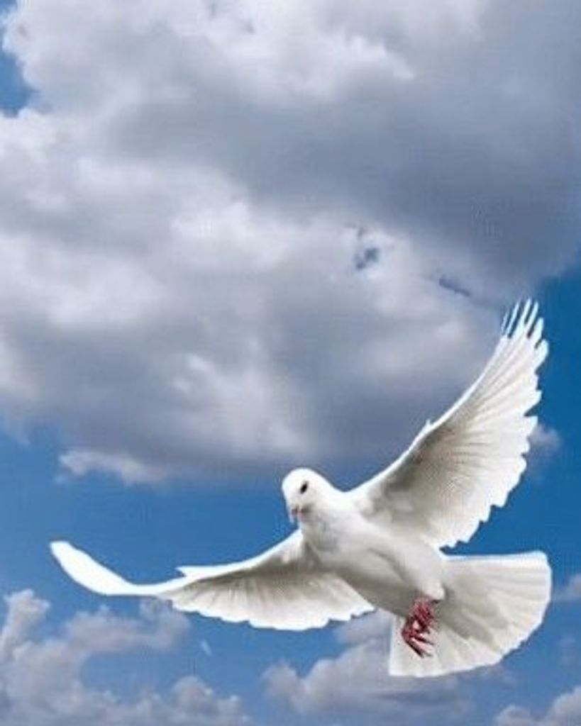 Willie Lee Jackson, Sr. Profile Photo