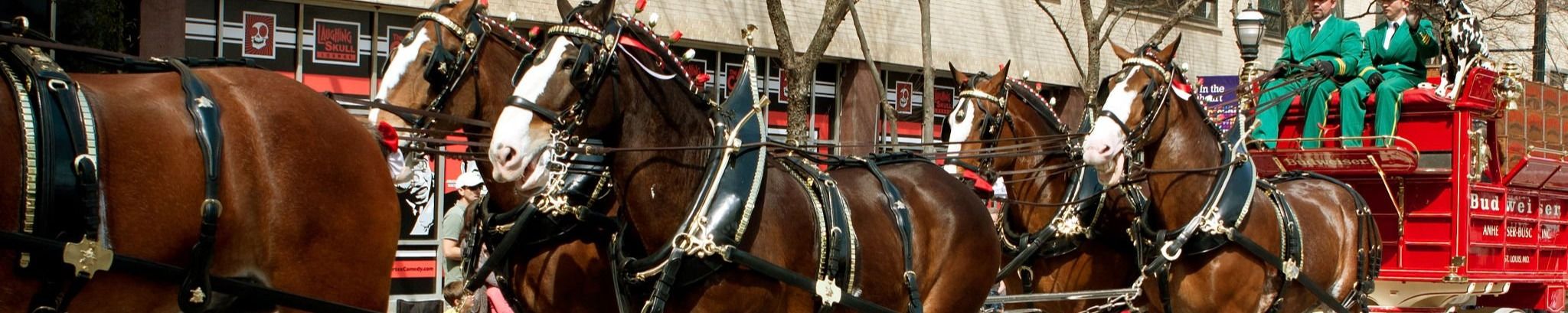 Cover for Scott Frank Woidan's Obituary