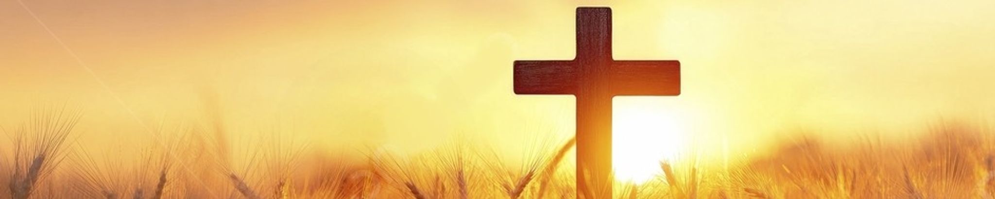 Cover for Mark Theodore Suta's Obituary