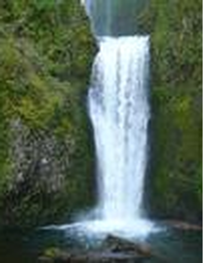 Michael Edmond Perry