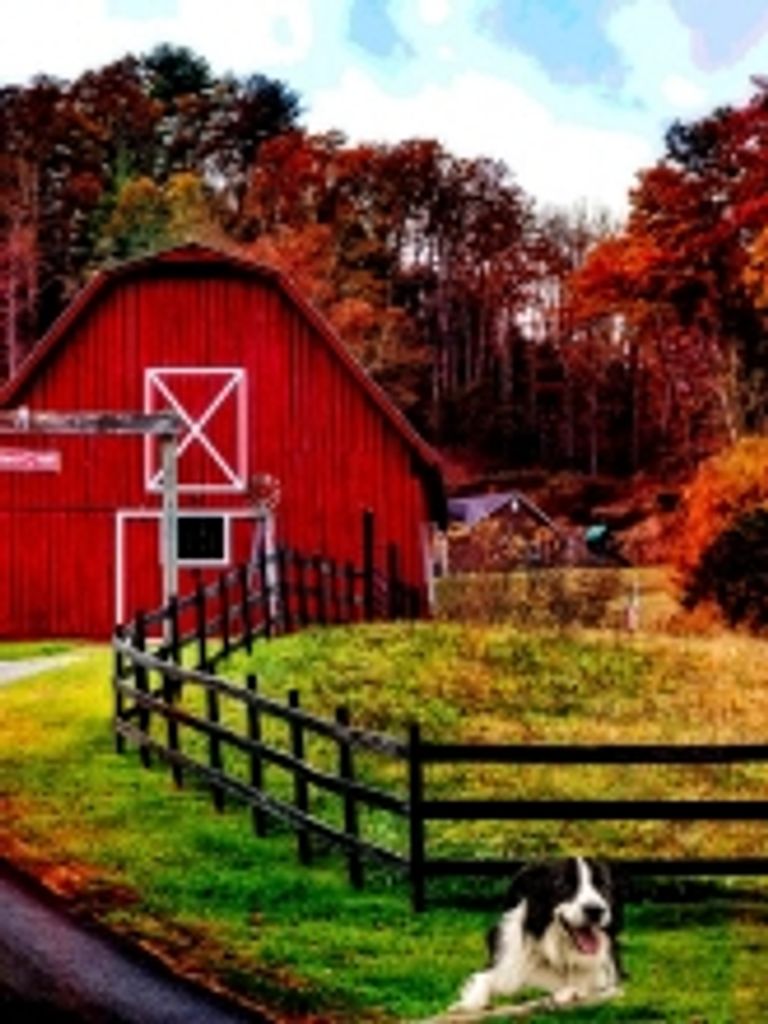 Frank Harold Klassen Profile Photo