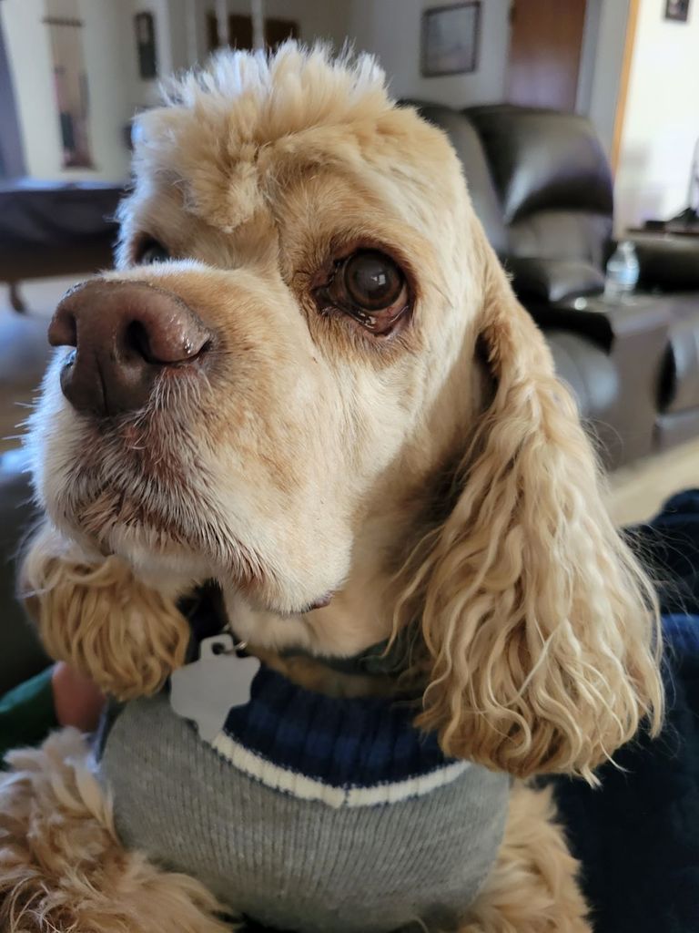 Willy Profile Photo