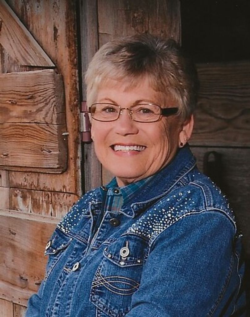 Judy Mccurry Profile Photo