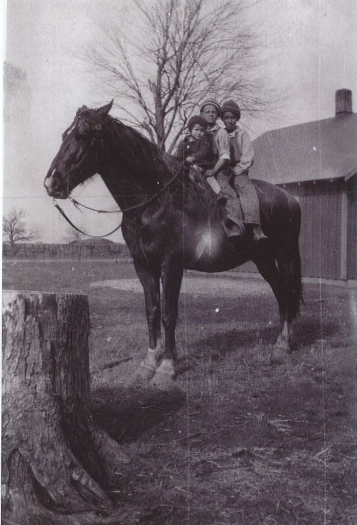 Darwin "Bud" G. Haner Profile Photo