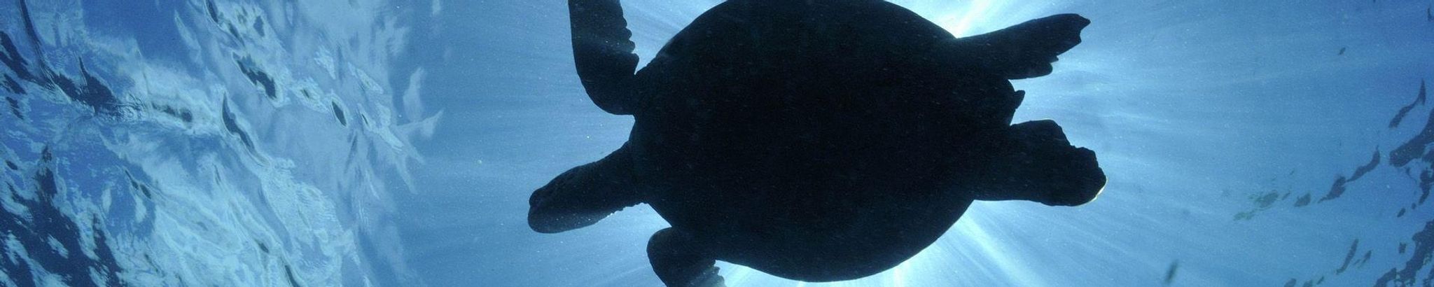 Cover for Griffin Eric Zemina's Obituary