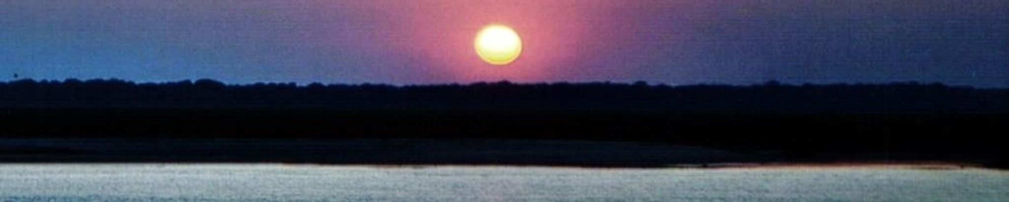 Cover for Frances "Barbara" Grogan's Obituary