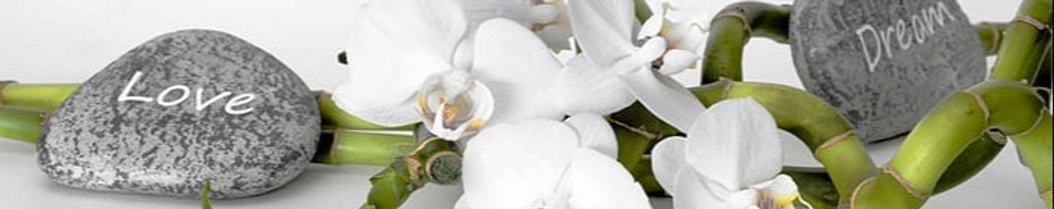Cover photo for Jose Ramon Guzman Garcia's Obituary