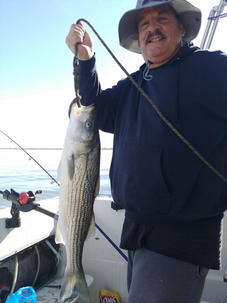 John R. Anello Profile Photo