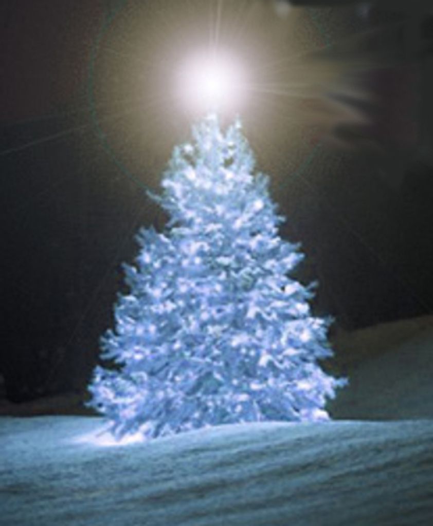 Holiday Remembrance Tribute For 2021 Profile Photo