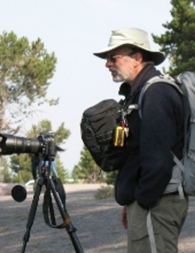 Thomas Edward Sardella Profile Photo