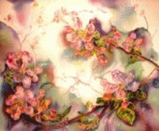Janet June Olsson Profile Photo