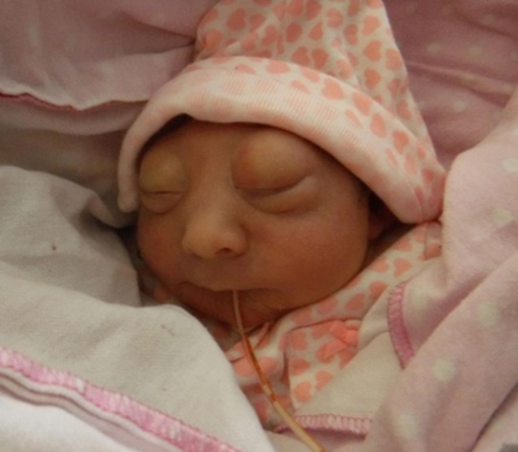 Adaleigh Kay Schmitt Profile Photo